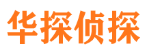 尼玛市调查公司